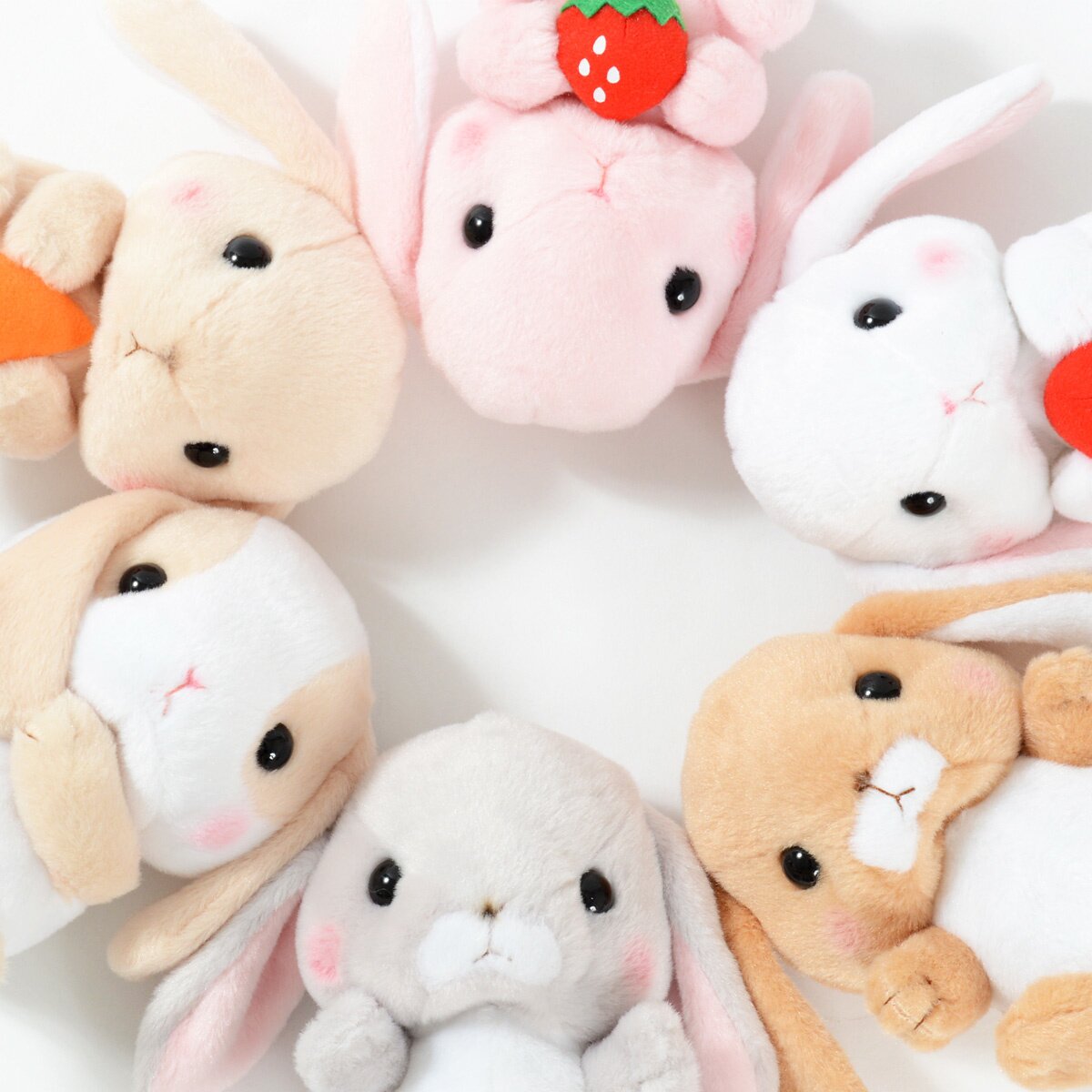 [TOM Exclusive] Pote Usa Loppy Field Rabbit Plush Collection (Standard ...