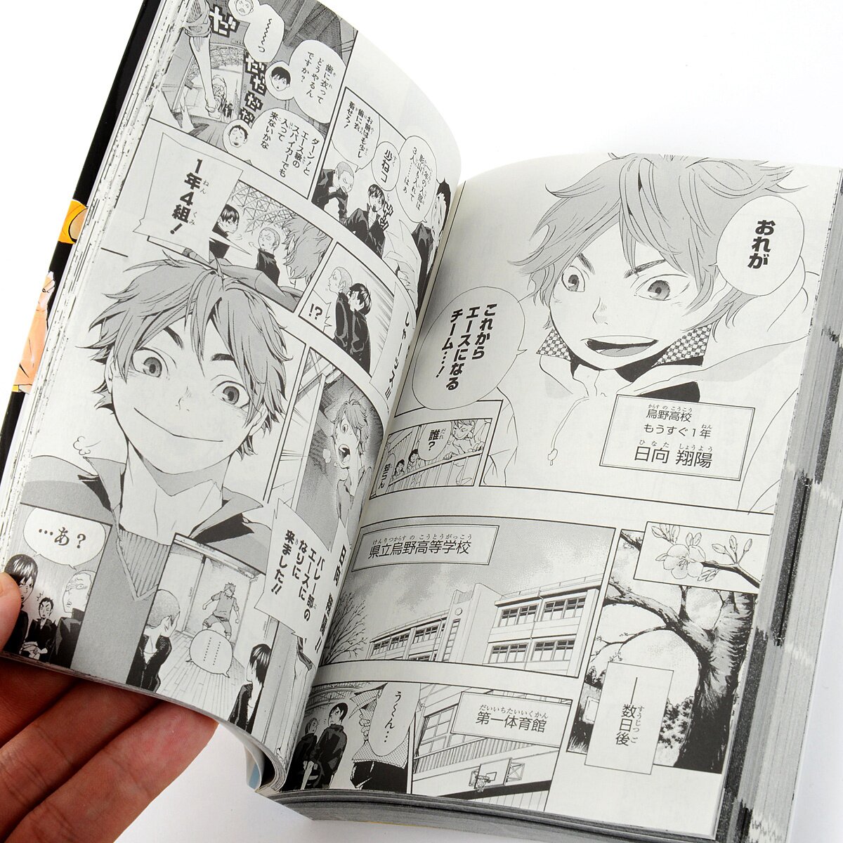 Haikyu!! Complete Guide Book Tokyo Otaku Mode (TOM)