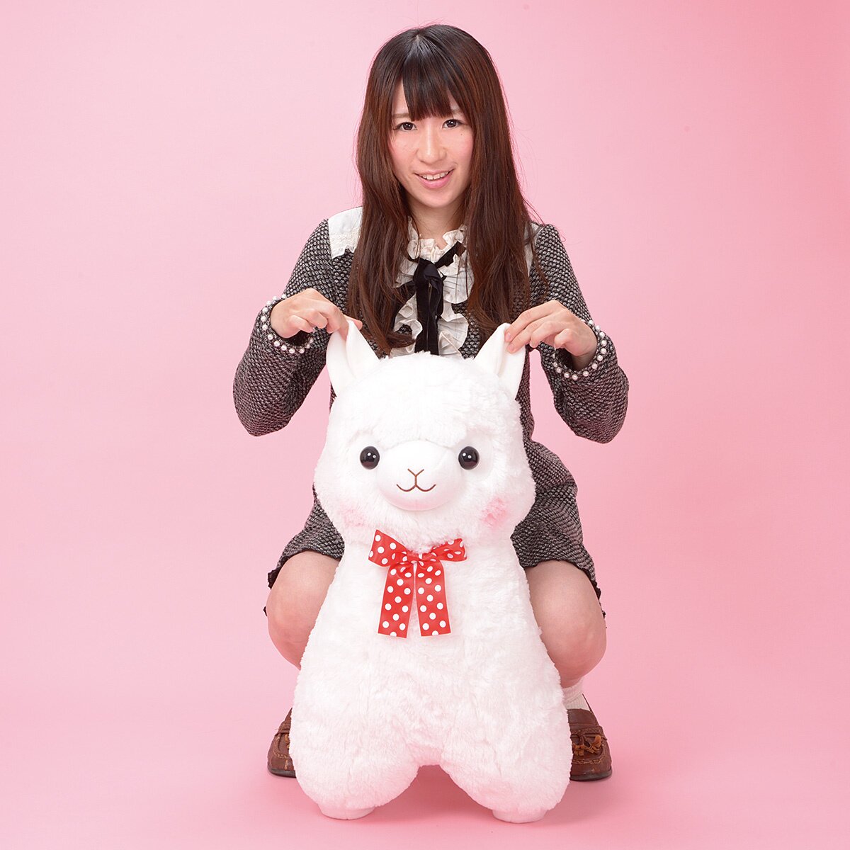 super jumbo alpacasso