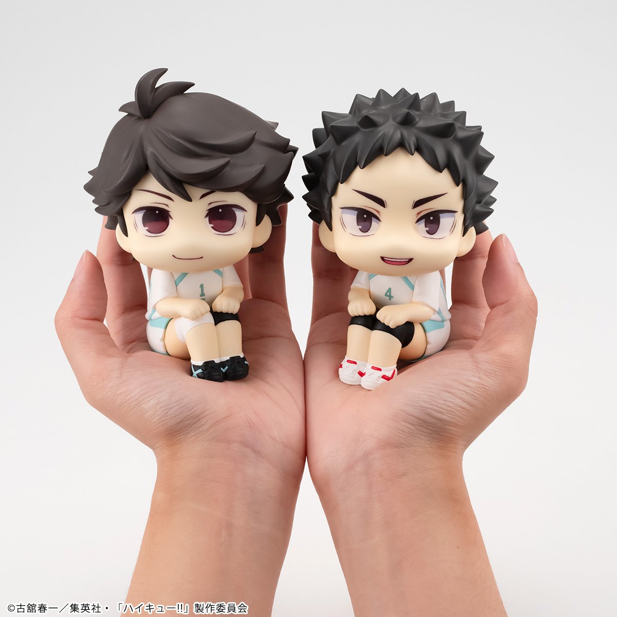 Look Up Haikyuu!! Oikawa Iwaizumi - uniform ver