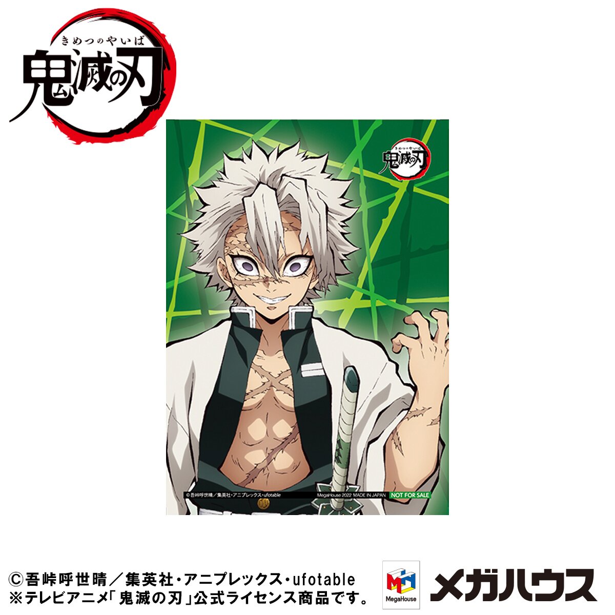 Giyu Tomioka Promo Card Demon Slayer Kimetsu no Yaiba Anime card