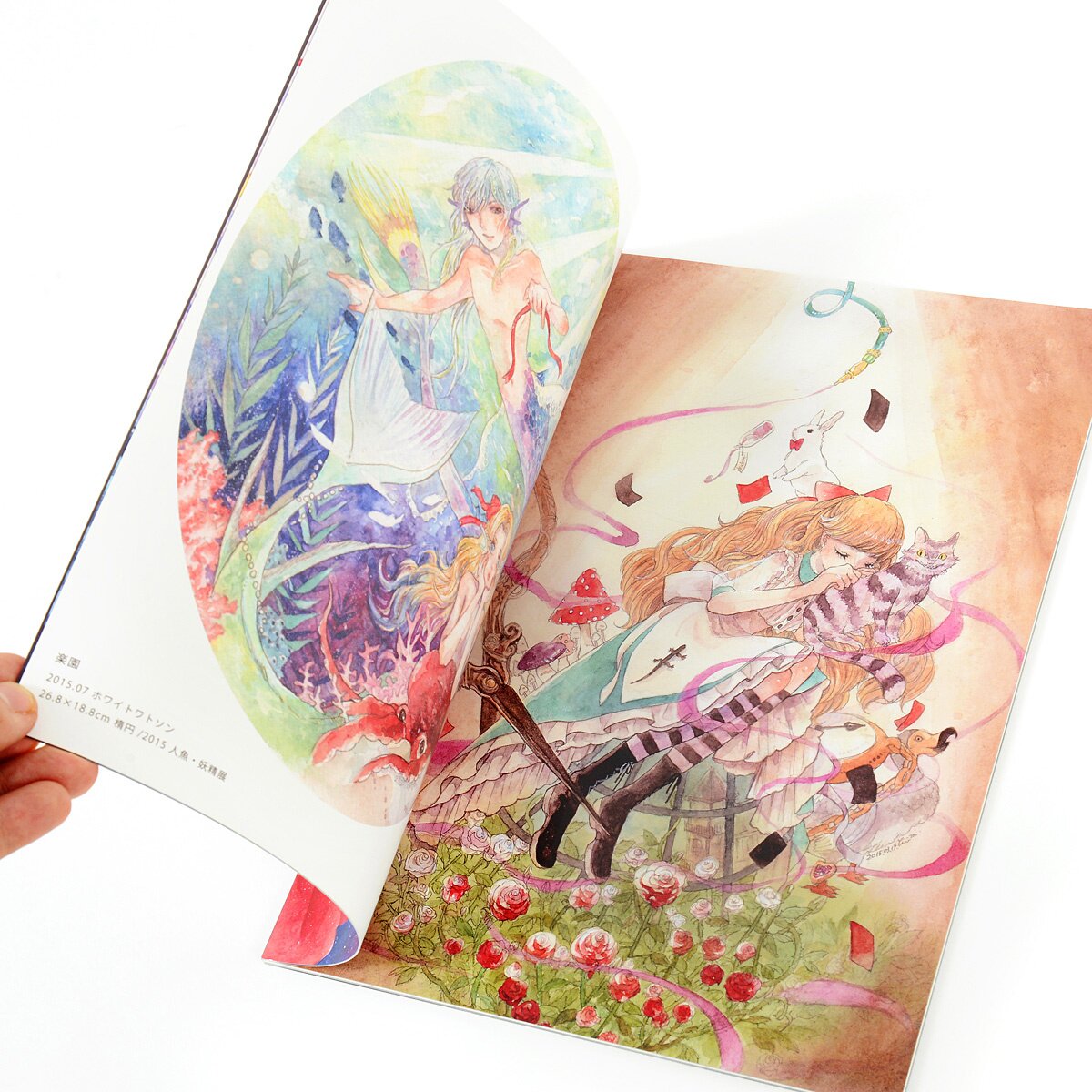 Cosmos Art Book - Tokyo Otaku Mode (TOM)