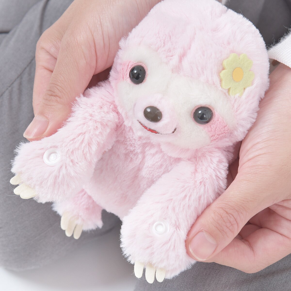 Namakemono no Mikke Otomodachi Sloth Plush Collection (Standard