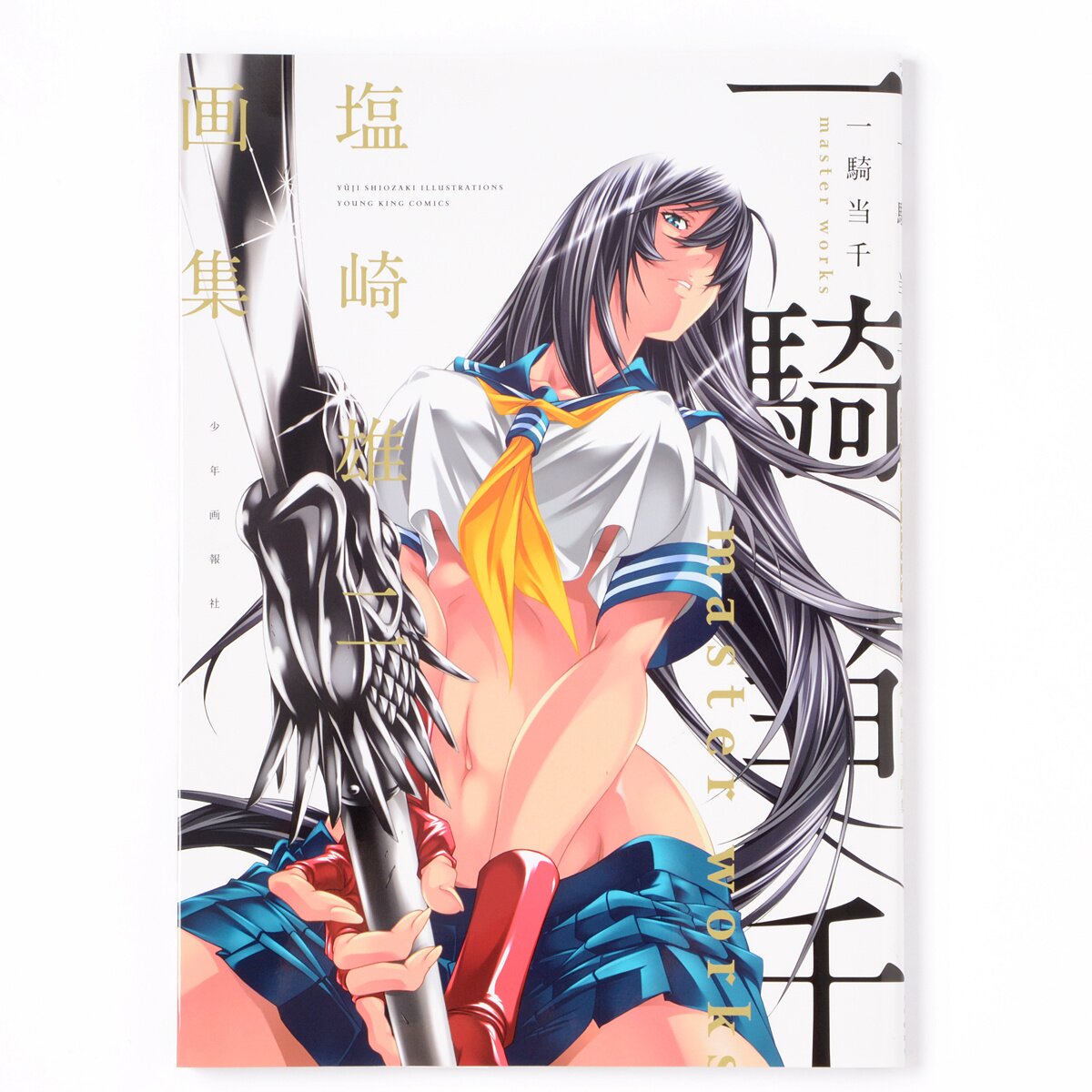 New Shin Ikki Tousen First Limited Edition DVD Booklet Post Card