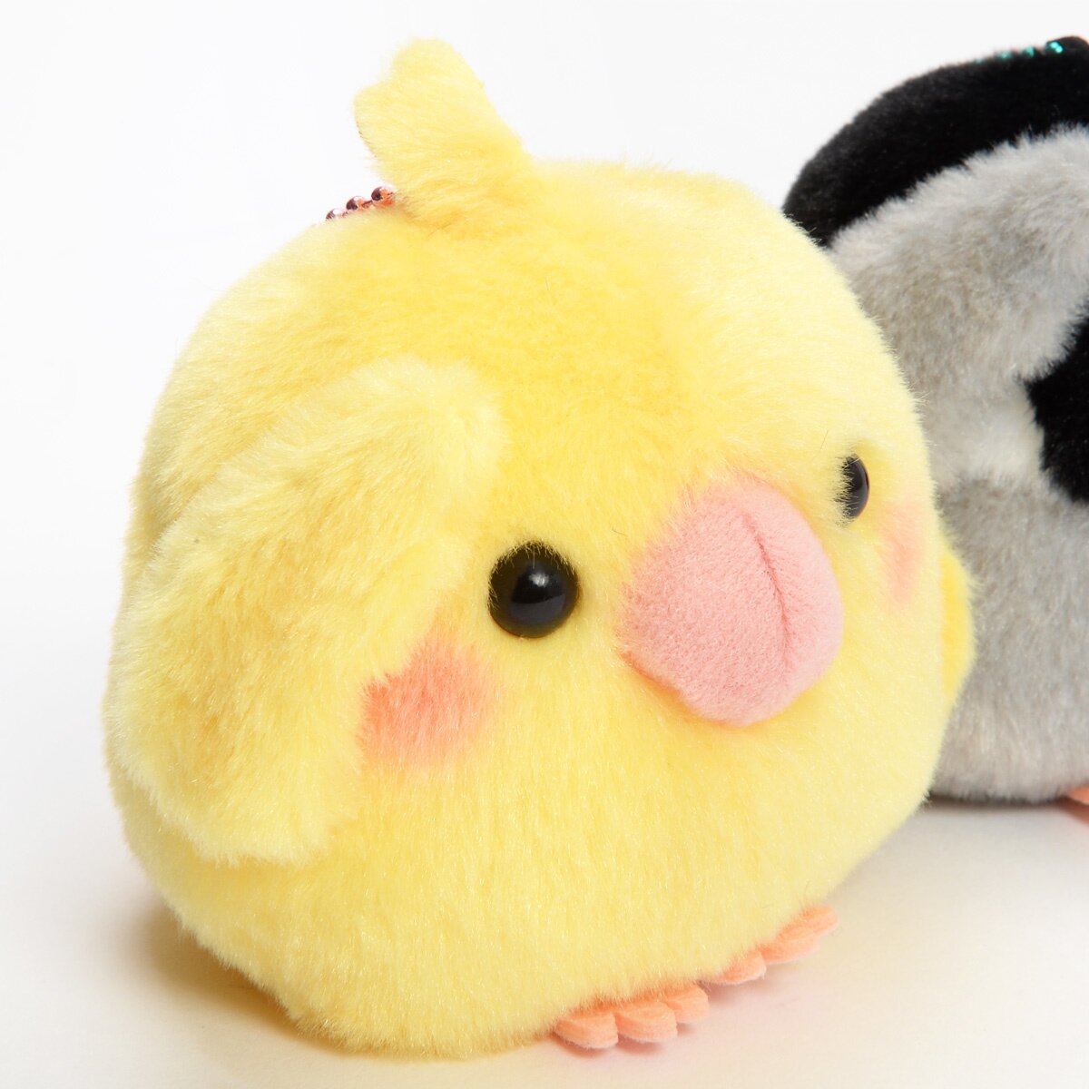 KOTORI グッズ　セット GMN8-7ebYAAS-O_.jpg