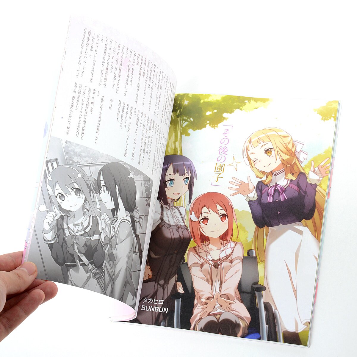 Yuki Yuna is a Hero The Great Mankai Chapter Visual Fan Book Dai