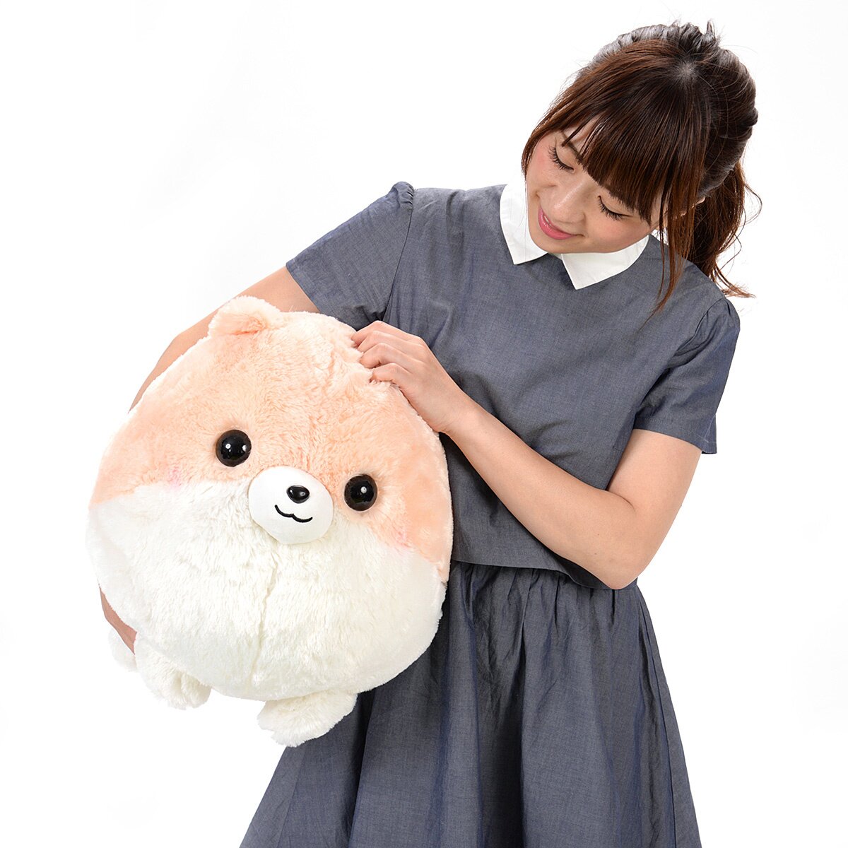 pometan plush