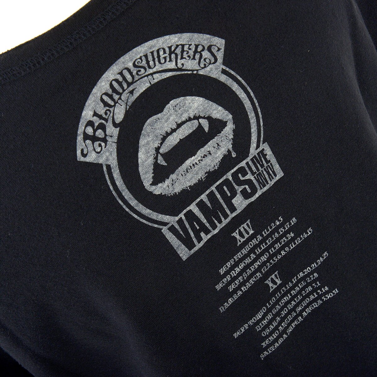 VAMPS Live 2015 