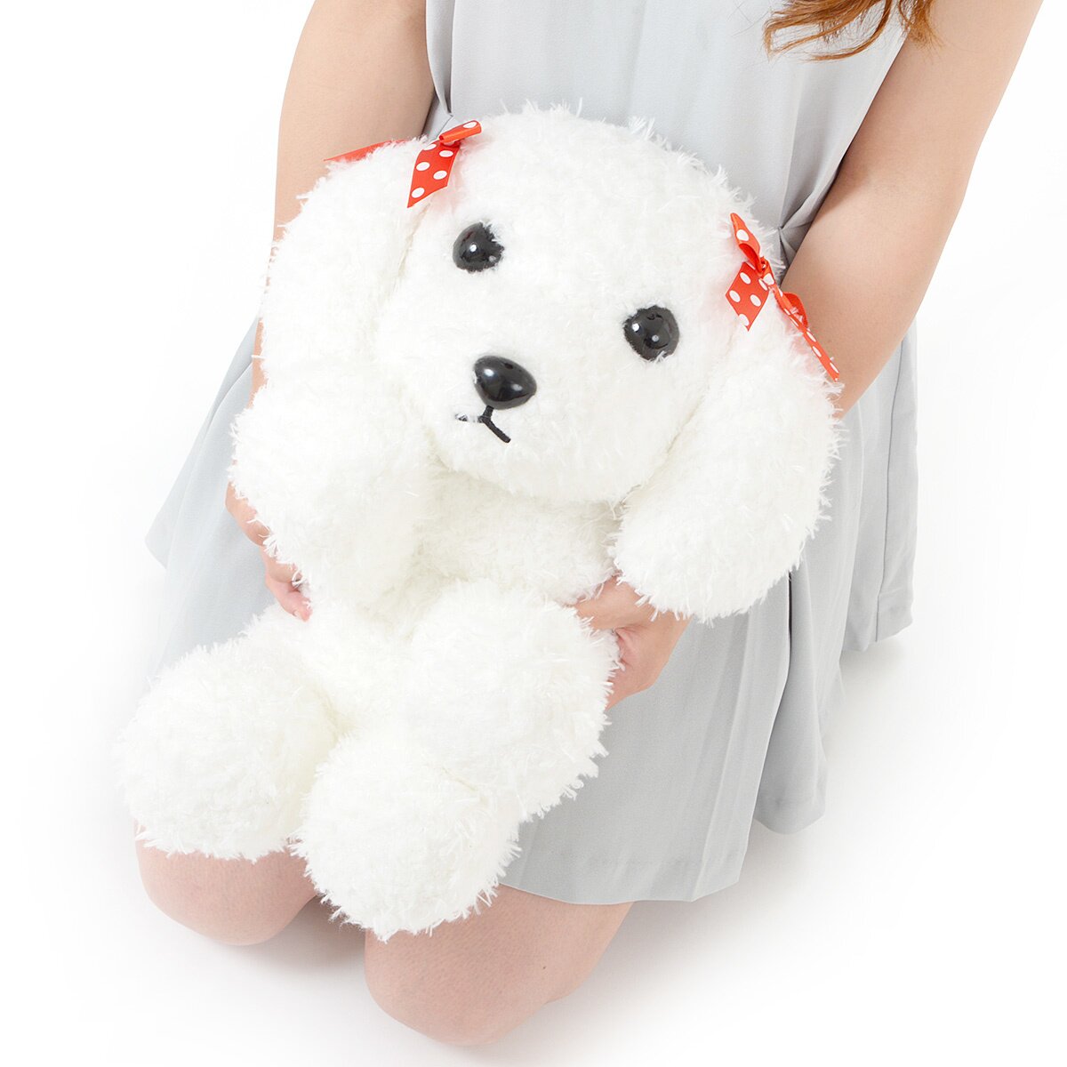 Mocha Toy Poodle Puppy 💗 SOLD – Precious Pups USA