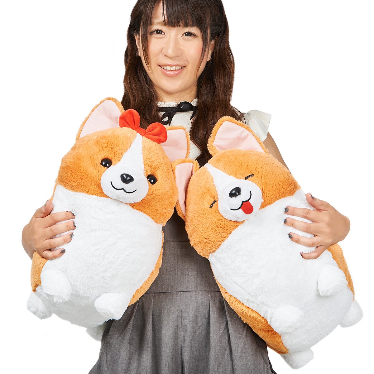 Amuse store corgi plush