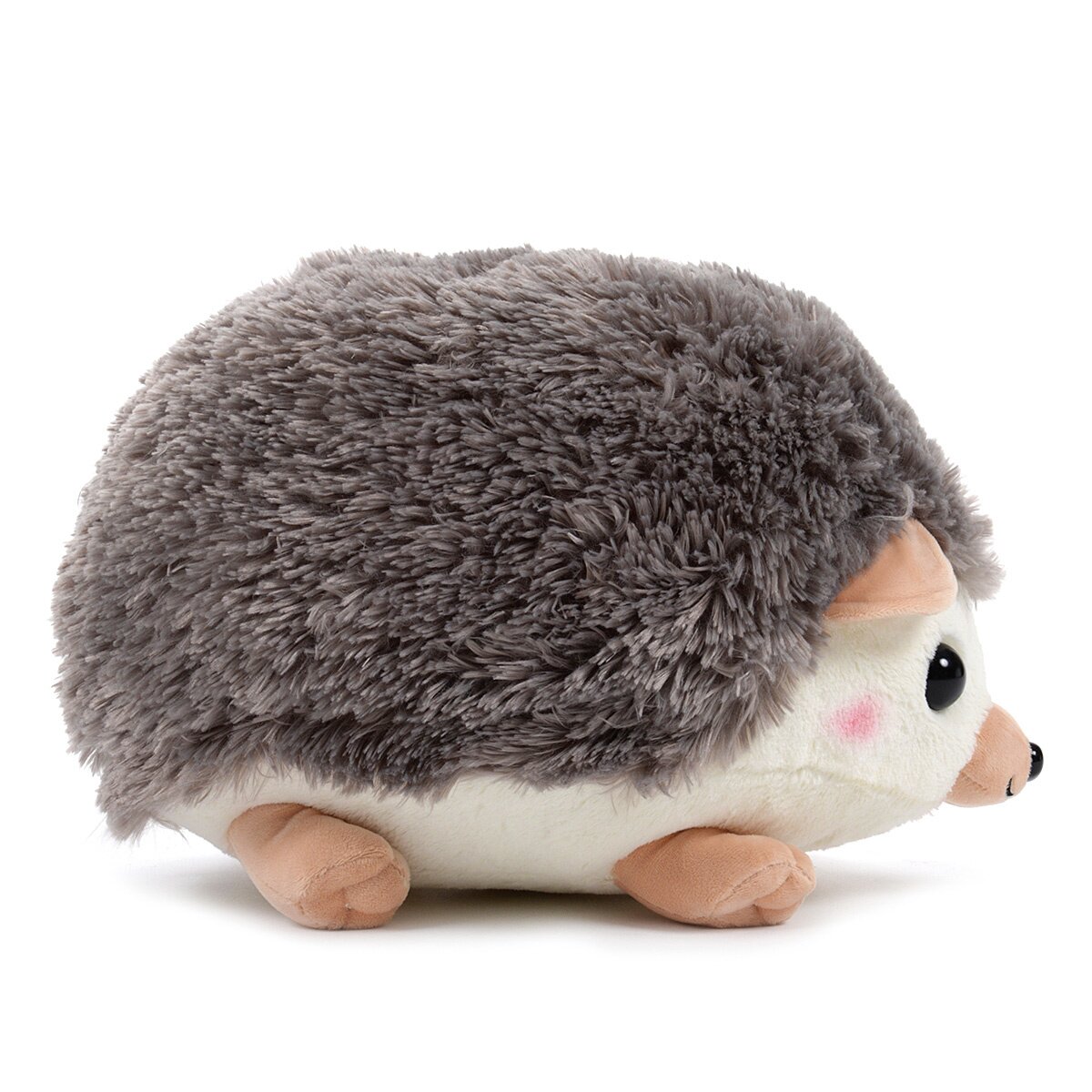 amuse hedgehog