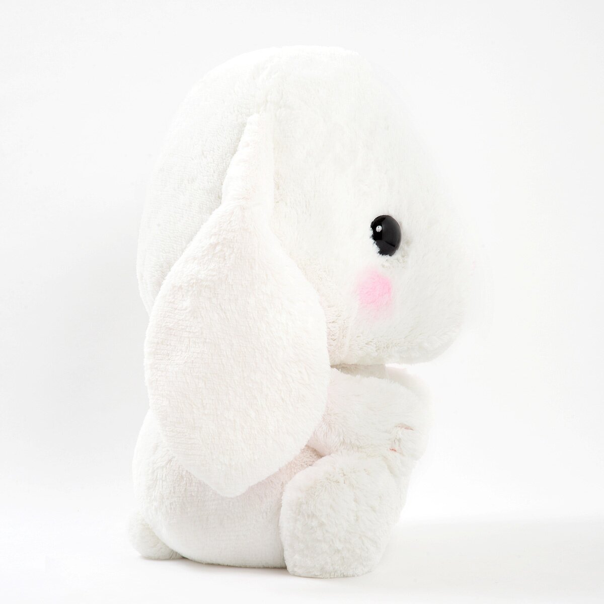 リトープス　ホワイトラビット　Lithops White Rabbit 3頭 リトープス ホワイトラビット Lithops White Rabbit 3頭 リトープス