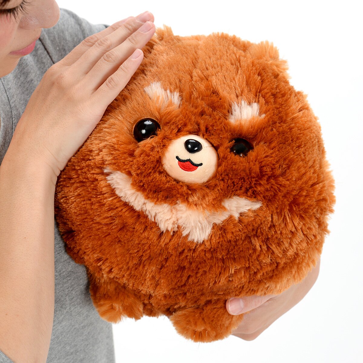 pometan plush