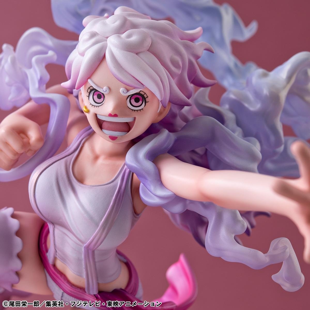 Portrait of Pirates One Piece Evolutionary History Jewelry Bonney 