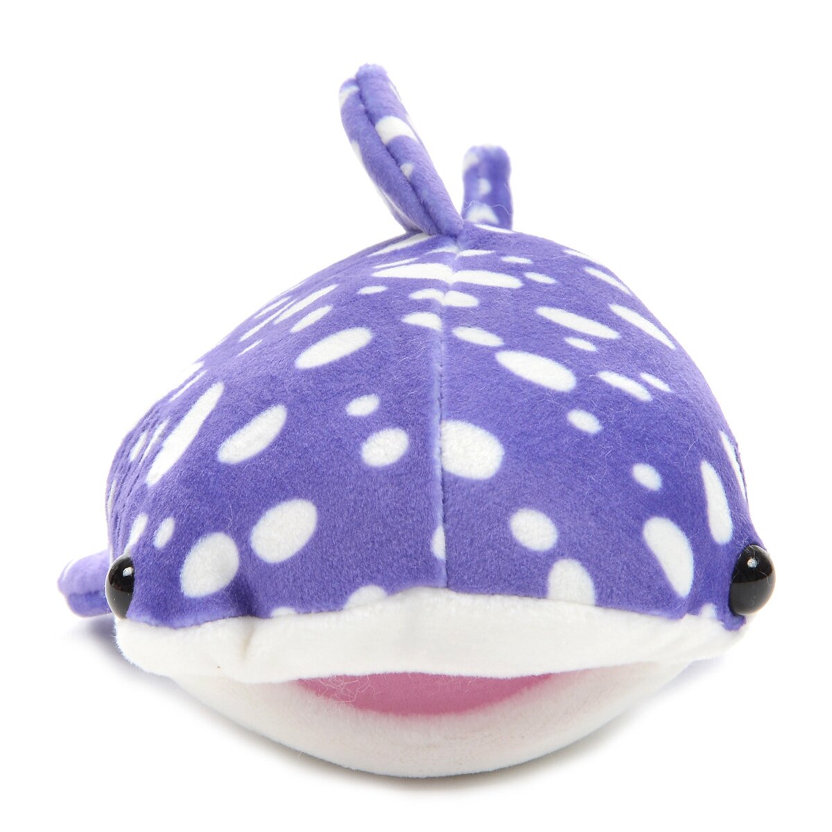 mochi puni shark