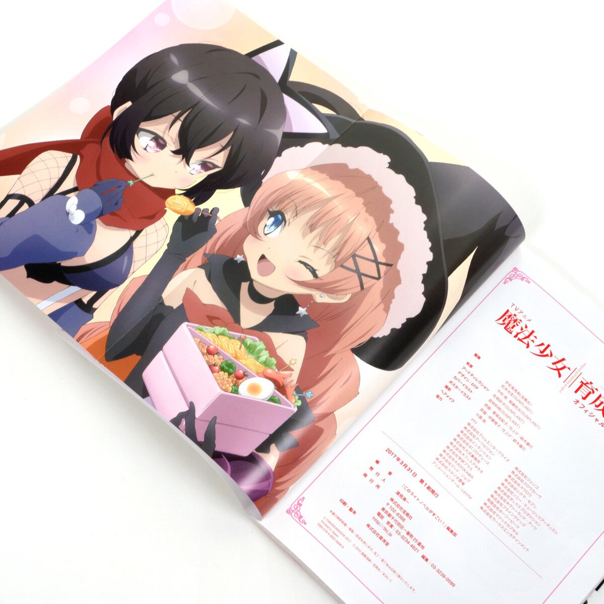 Official Anime Fanbook // Preview