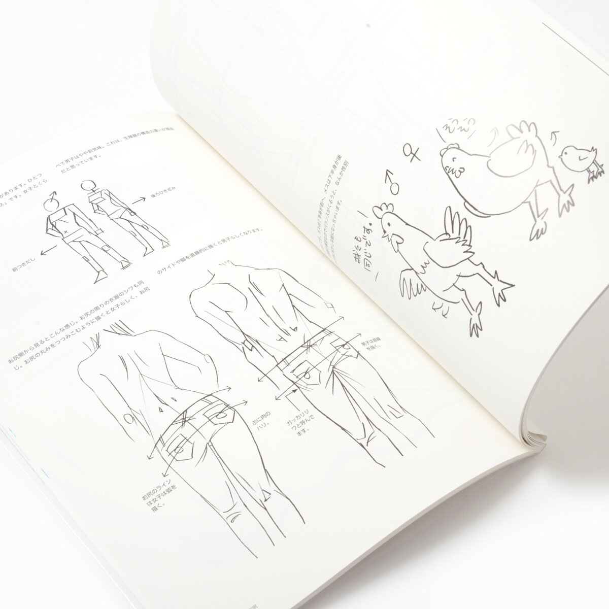 20,000+ Pencil Sketch Books Stock Illustrations, Royalty-Free