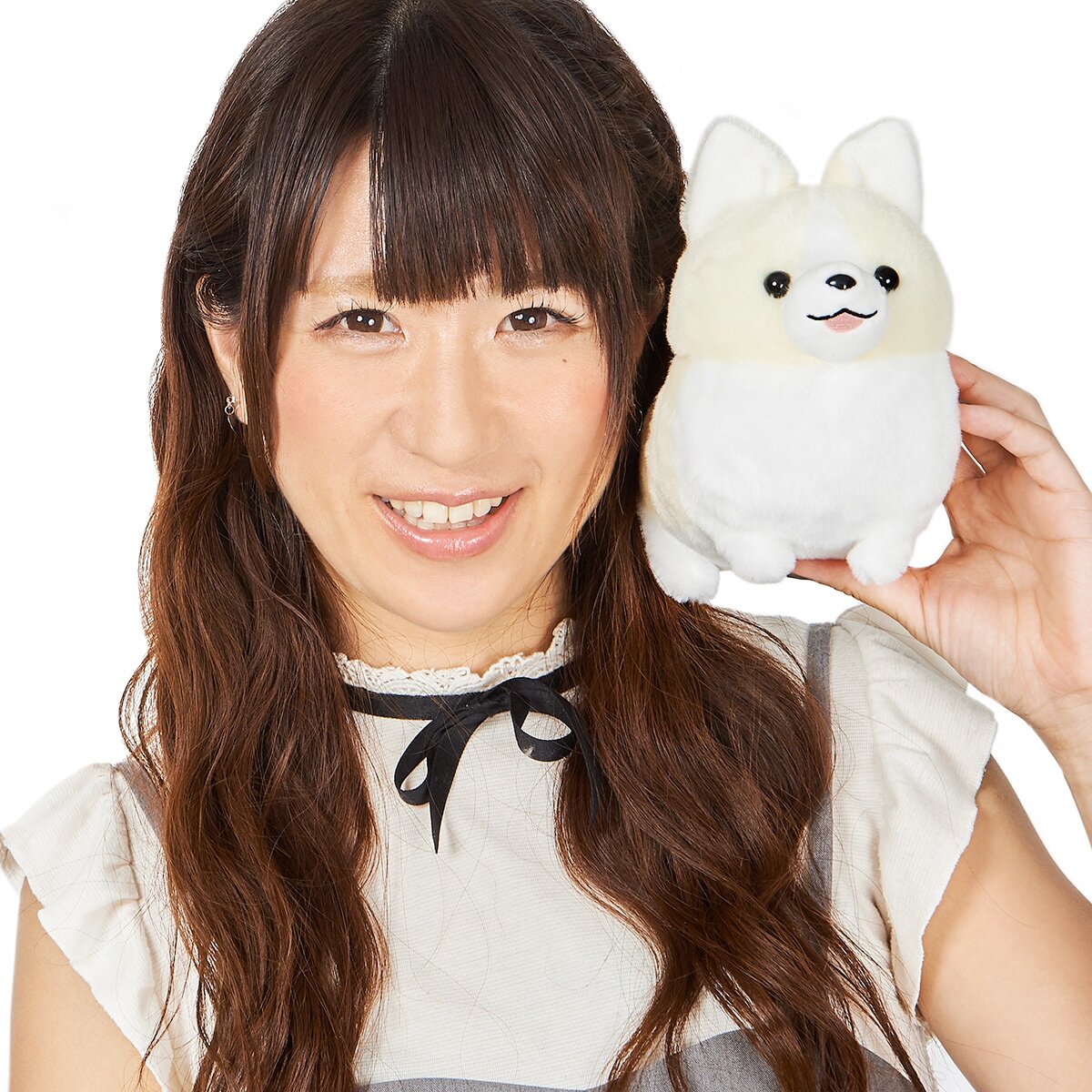 Ichi Ni no Corgi Dog Plush Collection (Big): Amuse - Tokyo Otaku Mode (TOM)