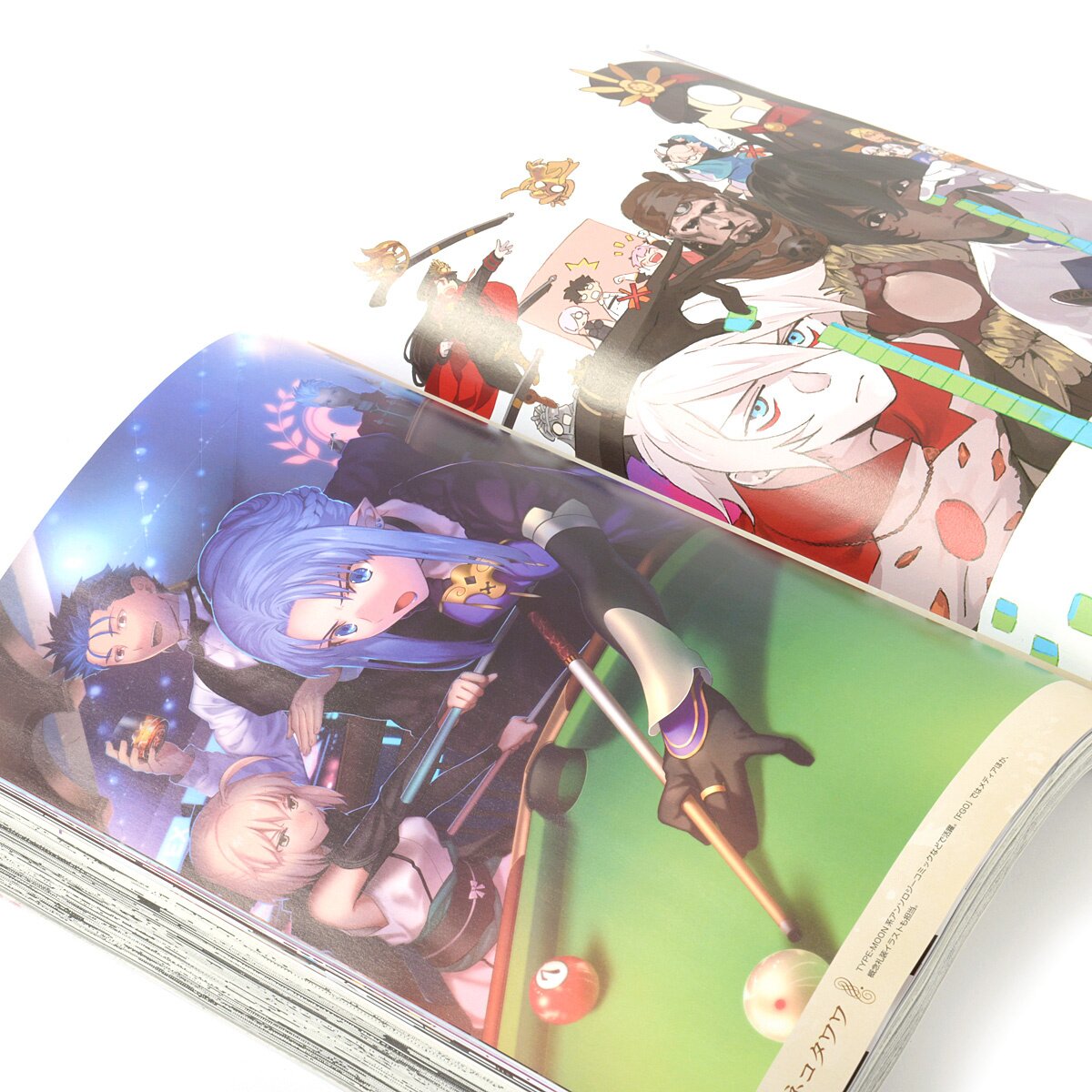 TYPE-MOON Ace Vol. 11: Type-Moon - Tokyo Otaku Mode (TOM)