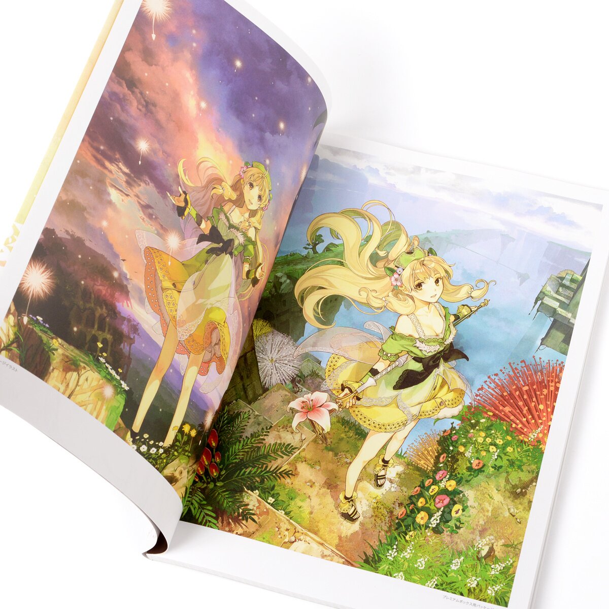 Atelier Ayesha Official Visual Book - Tokyo Otaku Mode (TOM)