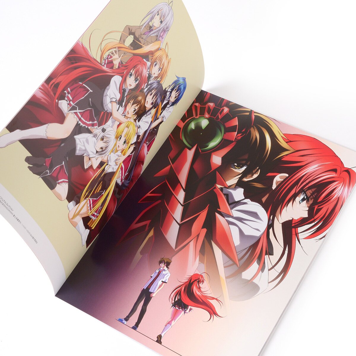 High School DxD BorN Visual Collection