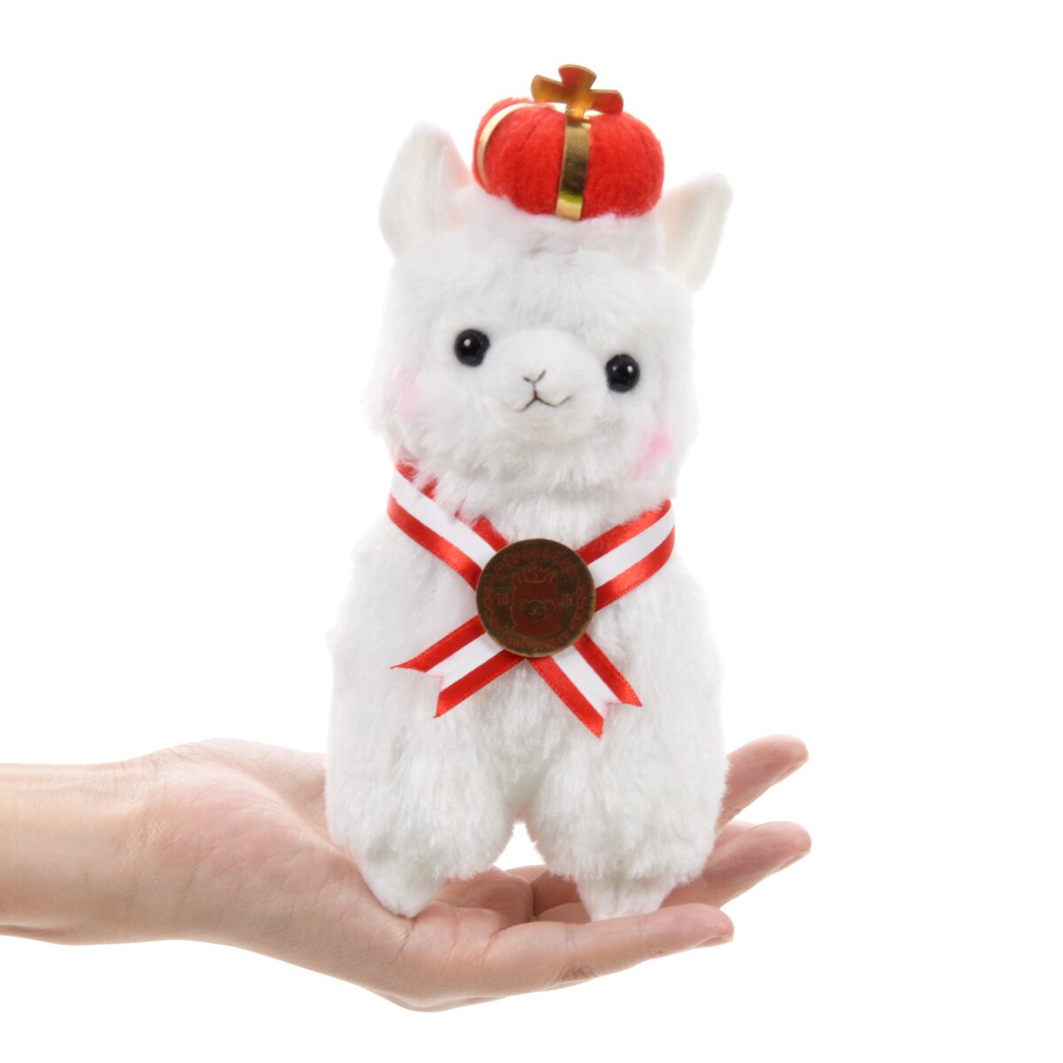 amuse collection alpacasso