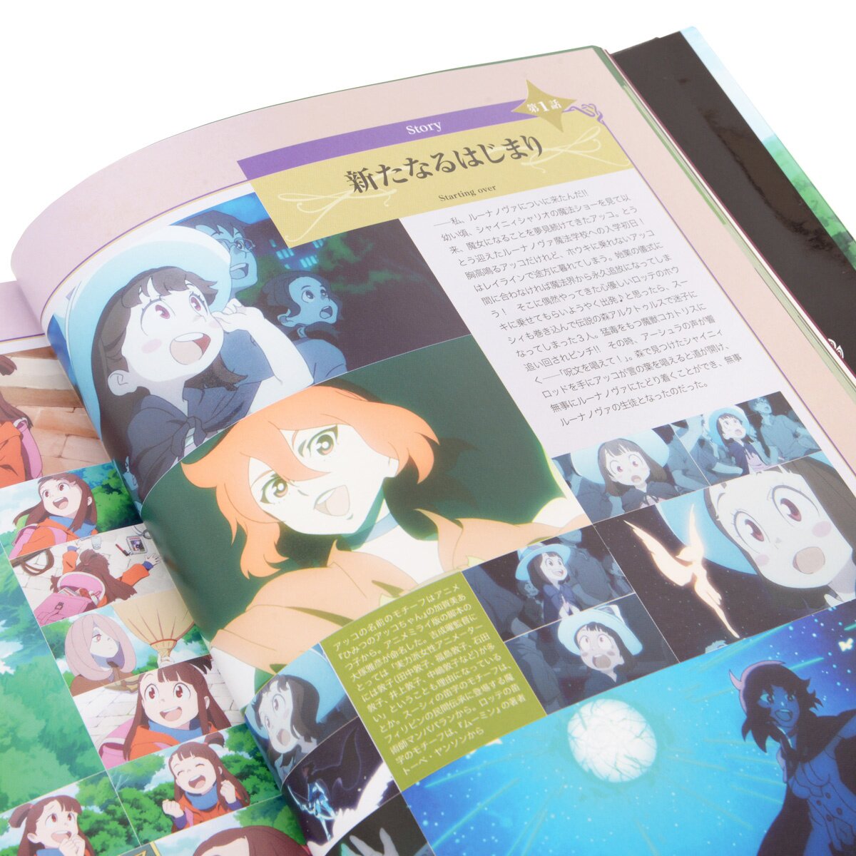 卸し売り購入 Little Witch Academia Chronicle おまけ付き 趣味