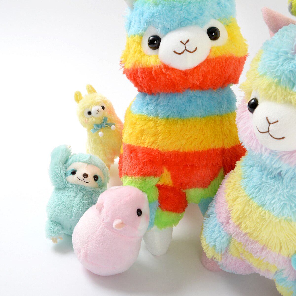 rainbow alpacasso