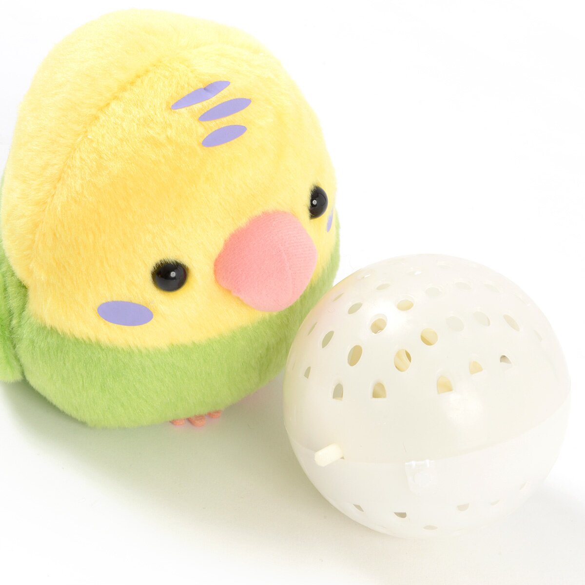 amuse kotori tai