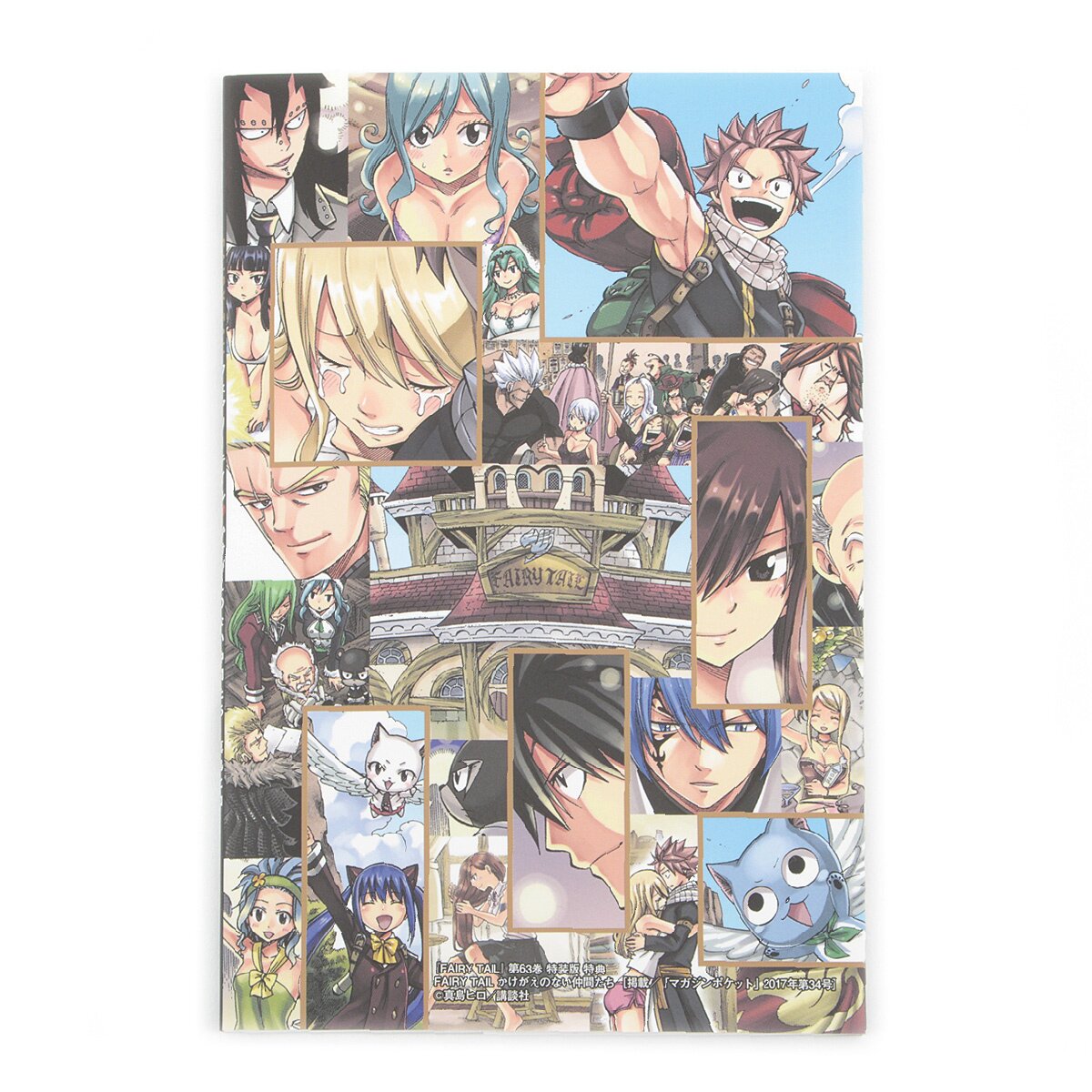 Fairy Tail Vol. 63 Special Edition