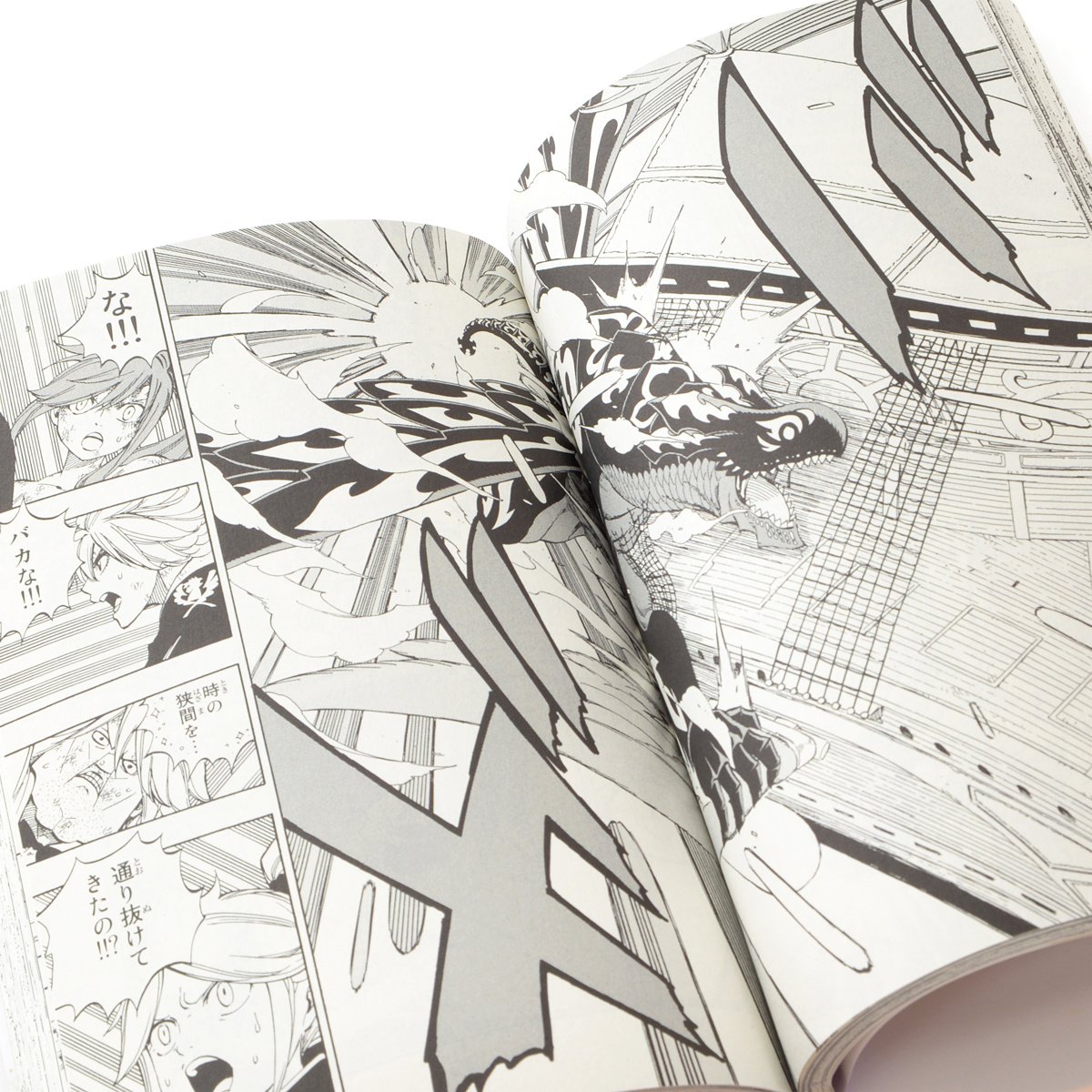 Fairy Tail Vol. 62 Limited Edition - Tokyo Otaku Mode (TOM)