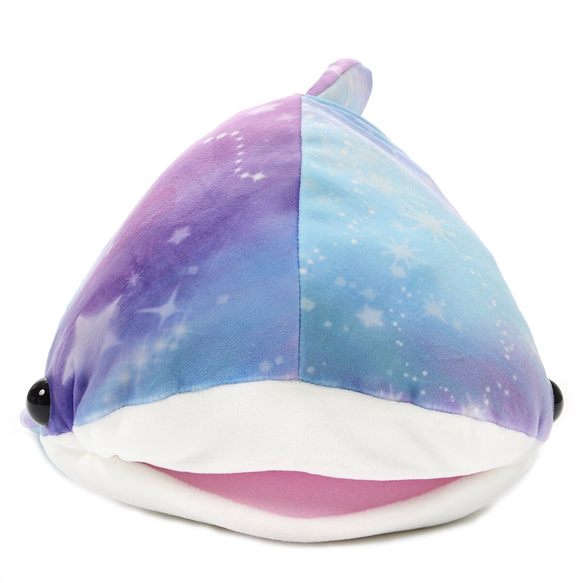 mochi puni shark