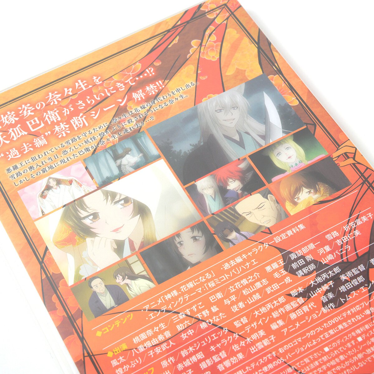 Kamisama Kiss Vol. 22 Limited Edition w/ Original Anime DVD - Tokyo Otaku  Mode (TOM)