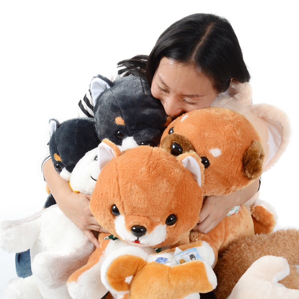 Mameshiba San Kyodai Dog Plush Collection: Jumbo & Big Assorted