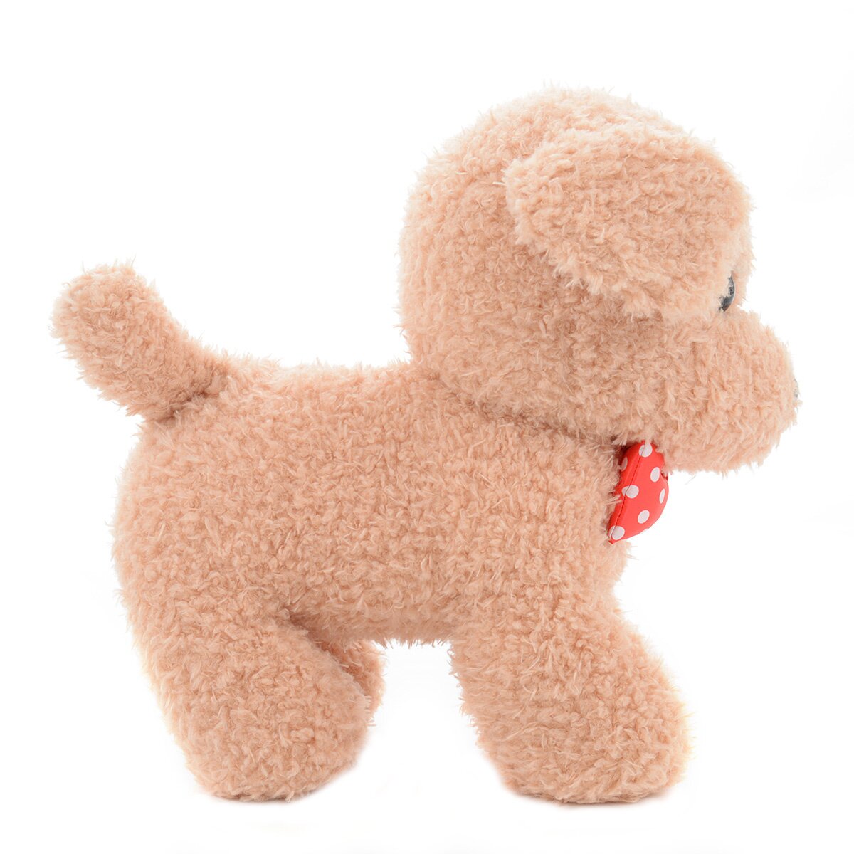 Mocha Toy Poodle Puppy 💗 SOLD – Precious Pups USA