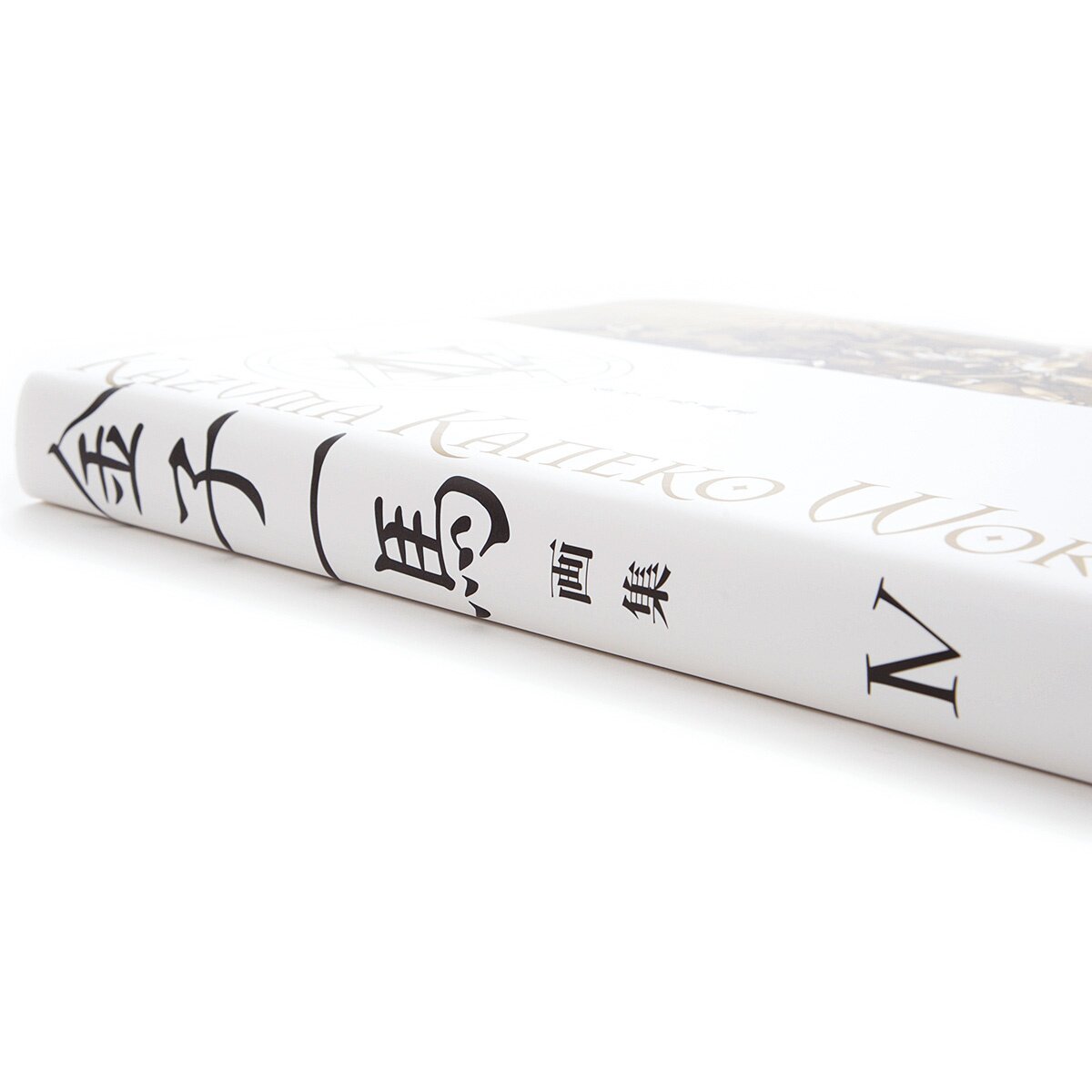 Kazuma Kaneko Works IX Hardcover Art Book (FedEx/DHL)
