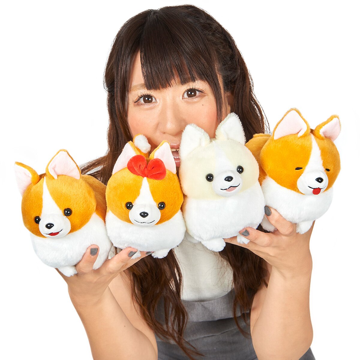 Ichini corgi store