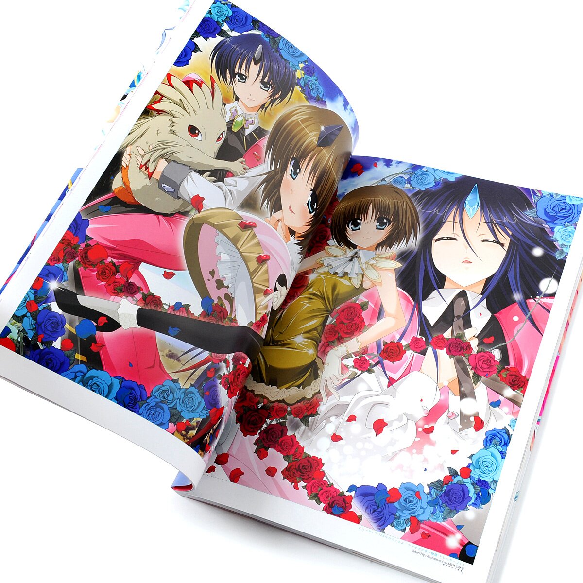 15th Art Works: Yukari Higa Illustrations - Tokyo Otaku Mode (TOM)