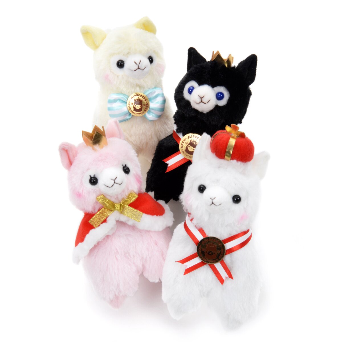 alpacasso 10th anniversary