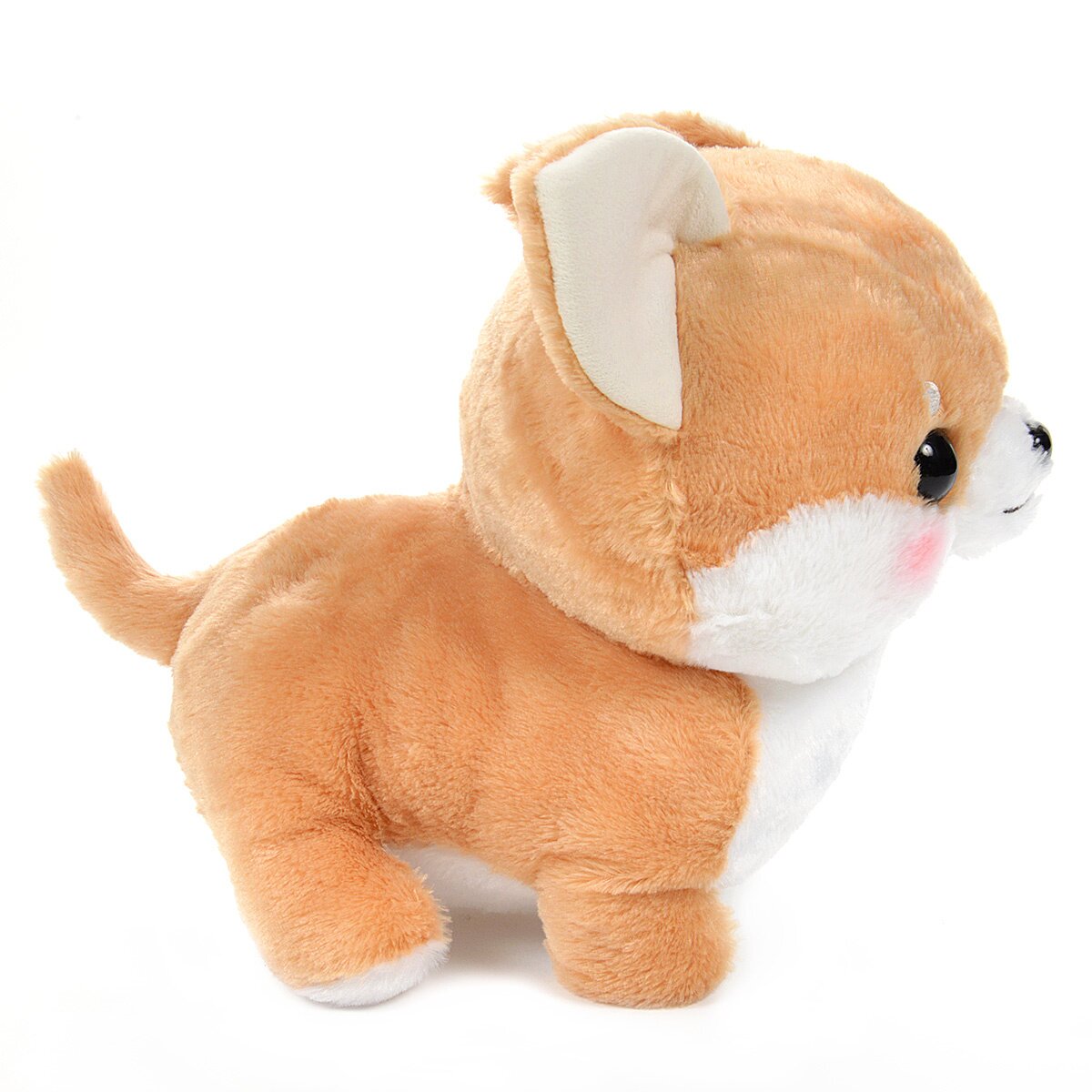 Ichi Ni no Corgi Dog Plush Collection (Big): Amuse - Tokyo Otaku Mode (TOM)