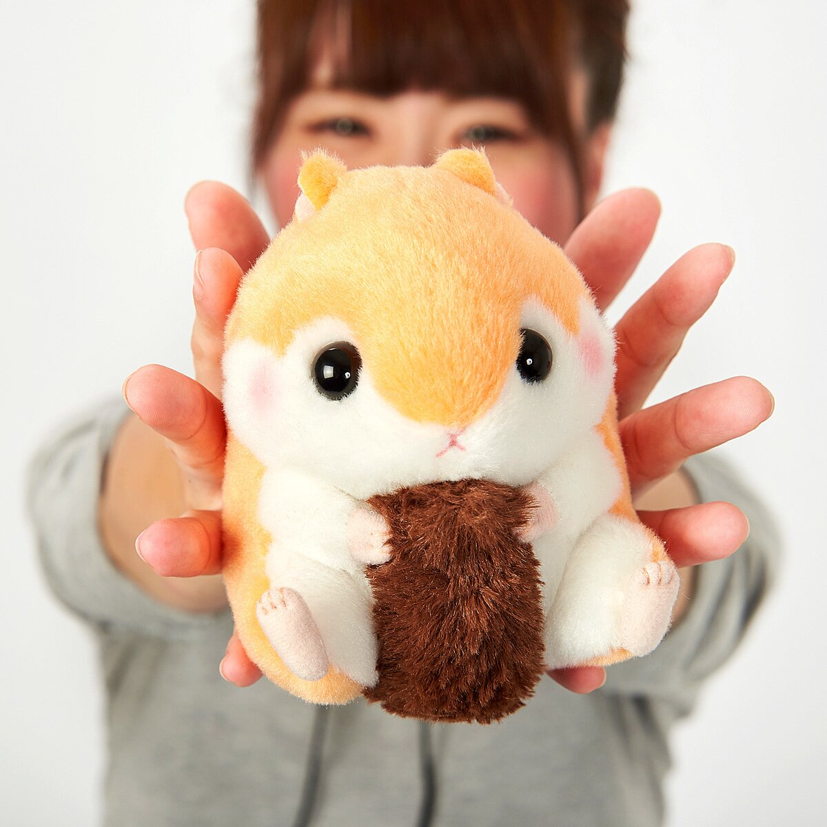 Amuse collection hamster online