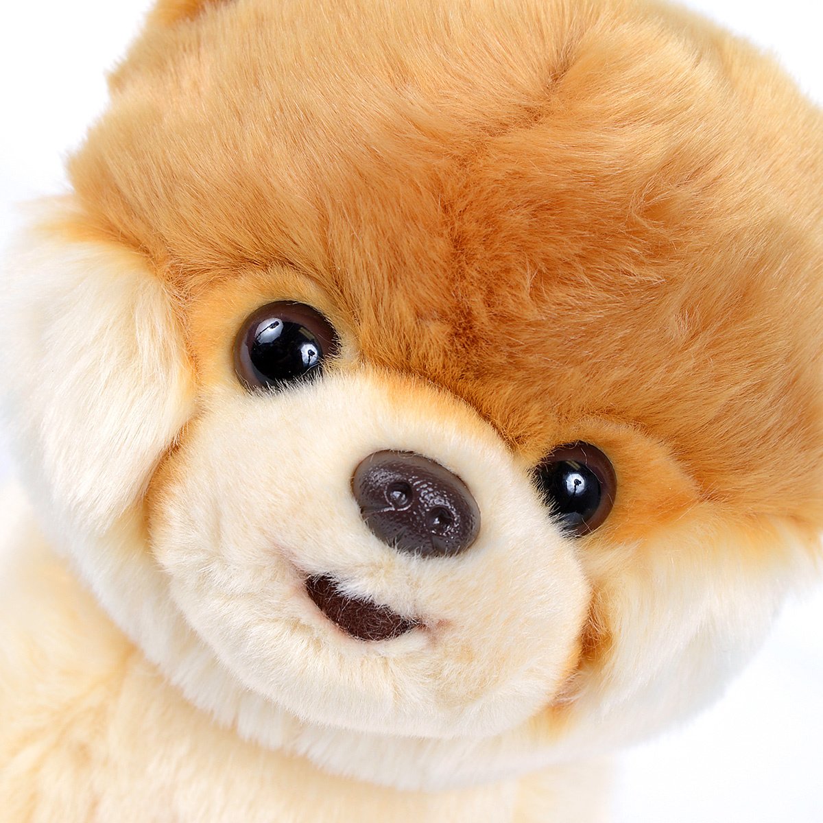 Gund Boo Cutest Dog in the World Plush Pomeranian Puppy 9 Inch