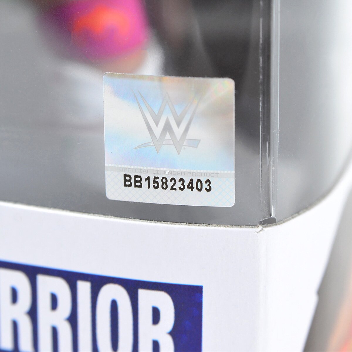 WWE ディーバ　プレミアムBOX BGBPB Professional Wrestling 2025 TOPPS CHROME WWE x Cactus