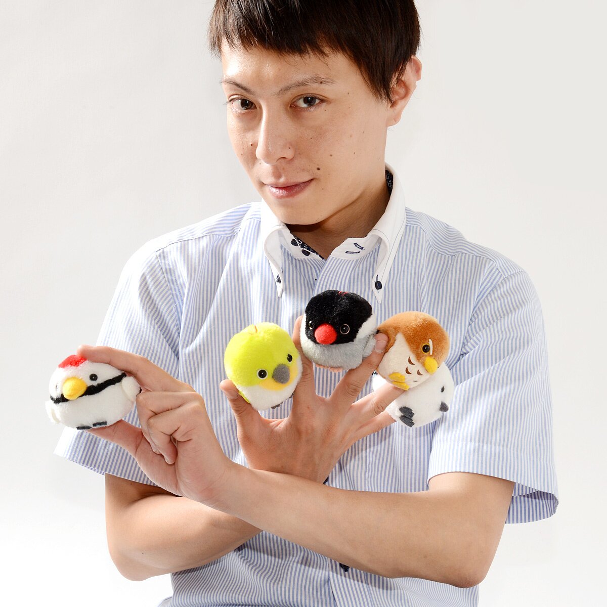 ぬいぐるみ kotori fogland petal fence Kotori Tai Ureshii Bird Plush Collection (Mini Strap): Amuse