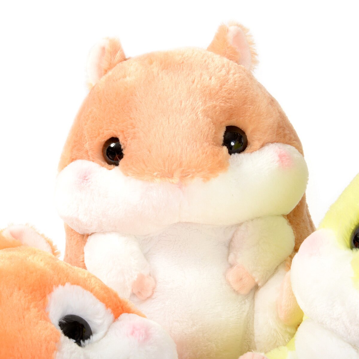 Coroham Coron to Risu-chan Hamster Plush Collection (Big): Amuse ...