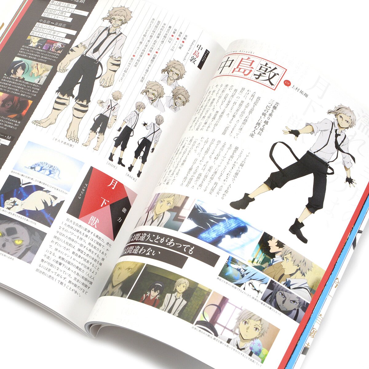 Bungo Stray Dogs Vol. 17 100% OFF - Tokyo Otaku Mode (TOM)