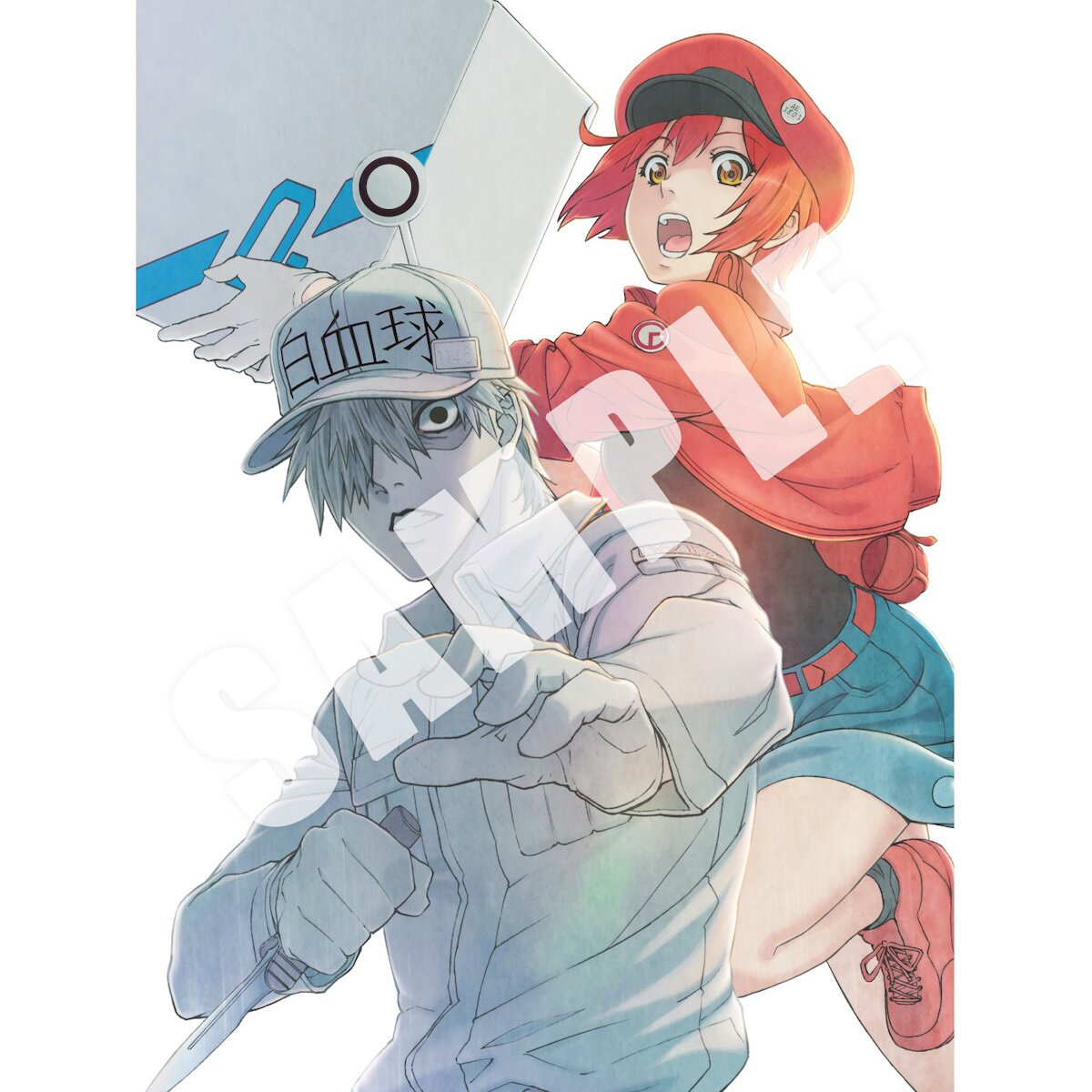 Cells at Work! Blu-ray