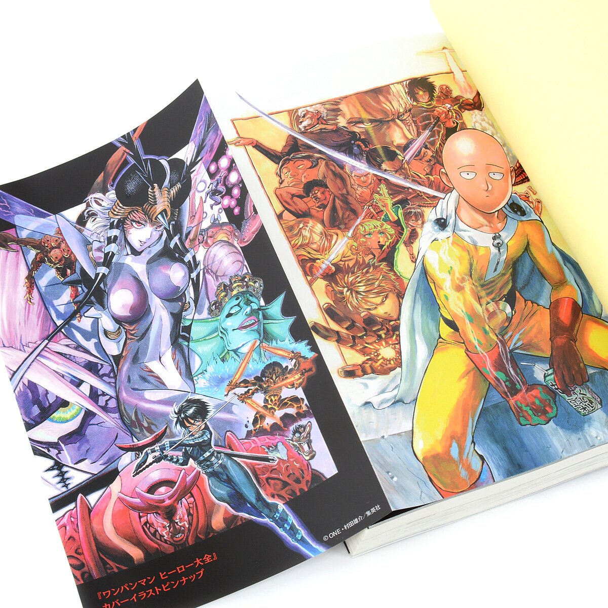 One Punch Man Hero Complete Work / Japanese Manga Official Fan