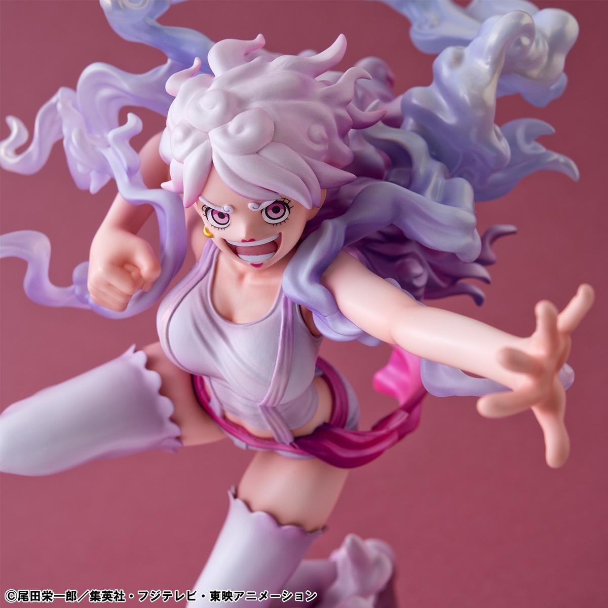 Portrait of Pirates One Piece Evolutionary History Jewelry Bonney 