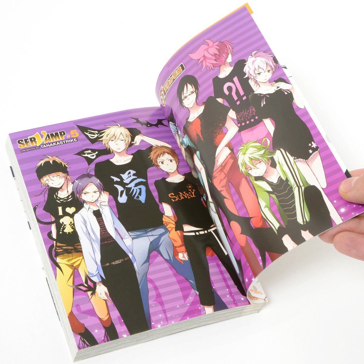 STRIKE ZONE 2 SERVAMP Illustration Works Japan Anime Manga Art Collection  Book